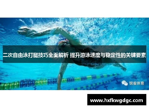 二次自由泳打腿技巧全面解析 提升游泳速度与稳定性的关键要素