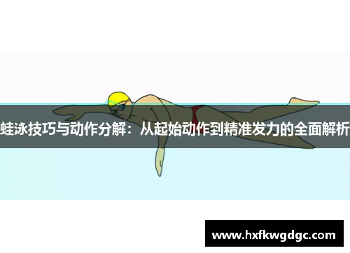 蛙泳技巧与动作分解：从起始动作到精准发力的全面解析