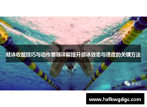 蛙泳收腿技巧与动作要领详解提升游泳效率与速度的关键方法