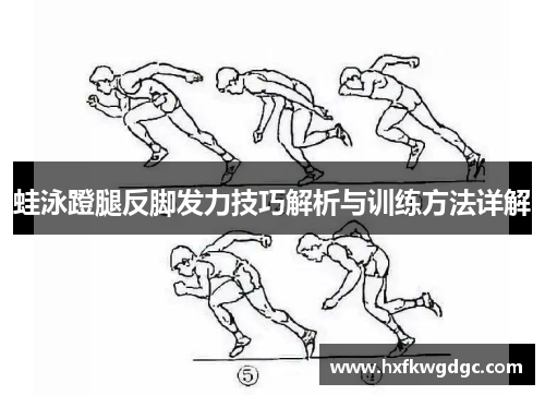 蛙泳蹬腿反脚发力技巧解析与训练方法详解