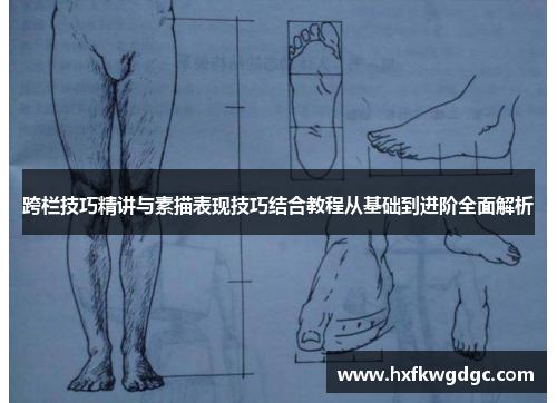 跨栏技巧精讲与素描表现技巧结合教程从基础到进阶全面解析