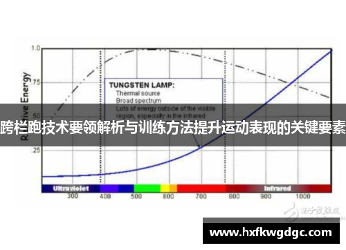 跨栏跑技术要领解析与训练方法提升运动表现的关键要素
