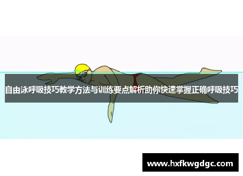 自由泳呼吸技巧教学方法与训练要点解析助你快速掌握正确呼吸技巧